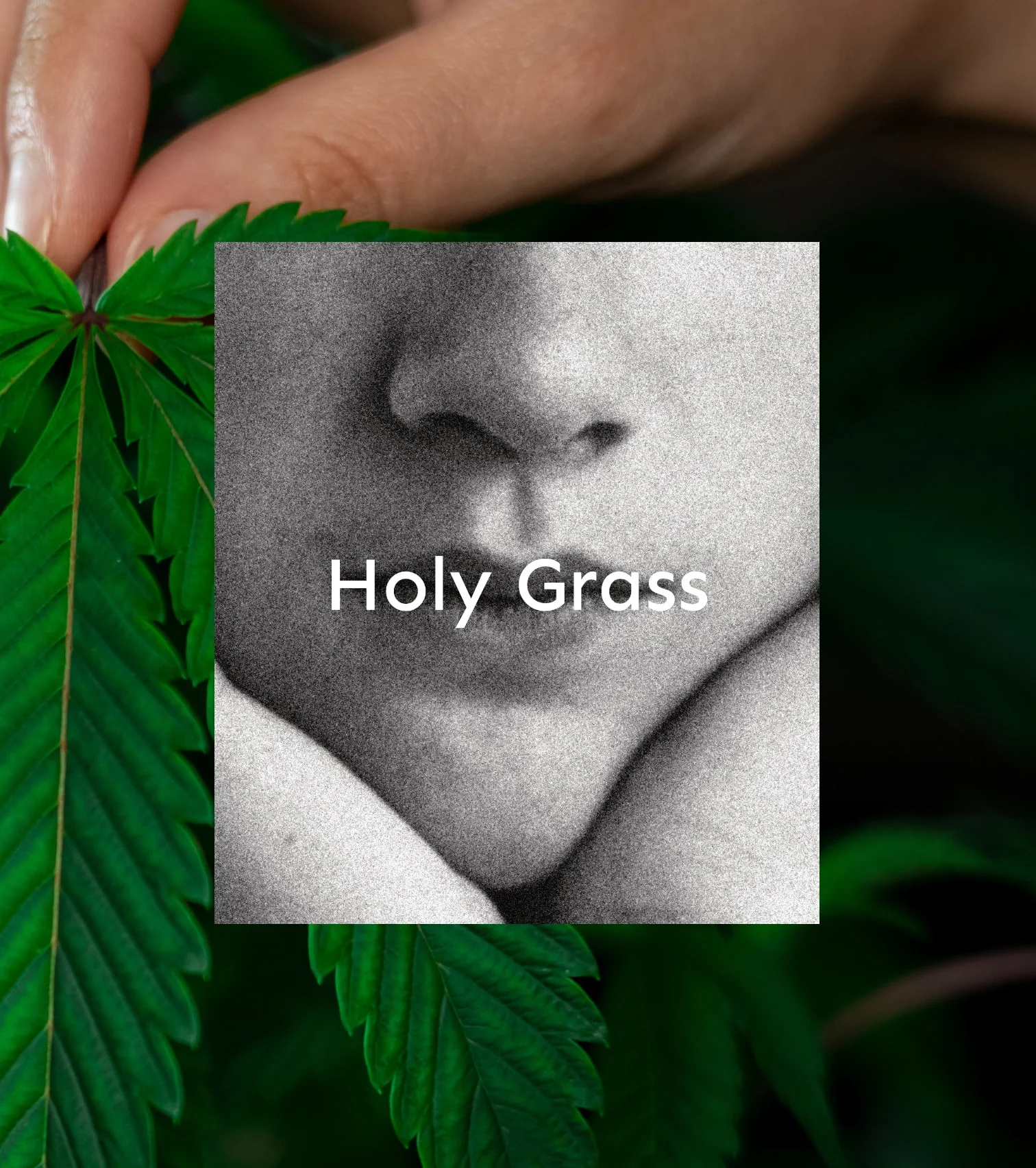 Room spray - Holy Grass - Image 2