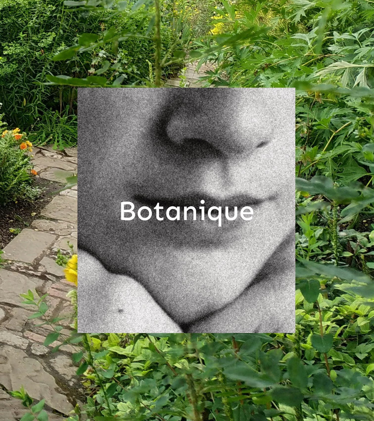 Świeca sojowa - Botanique - Image 2