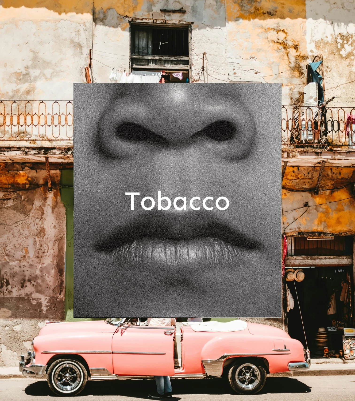 Świeca sojowa - Tobacco - Image 2